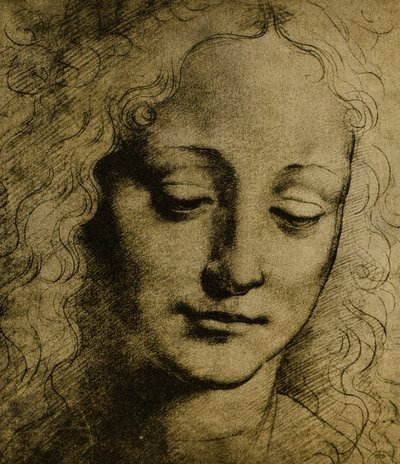 Hoofd van een jongeling; tekening door Leonardo da Vinci door Leonardo da Vinci